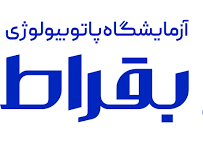 آزمایشگاه بقراط